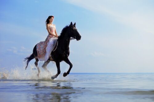 Хургада купание на лошадях Aqua Horse Hurghada